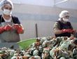 EURO 2016 en çok onların ihracatını artırdı