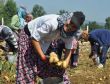 İzin çıktı! İlk olarak 1000 ton patates ve kuru soğan gitti