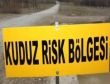 Kuduz kurban paniği