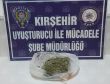 Kırşehirde uyuşturucu operasyonu