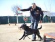 K-9 bomba köpekleri göreve hazır