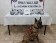 Sivasta uyuşturucu operasyonu