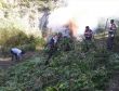 Konyada uyuşturucu operasyonu
