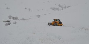 Van ve Bitlis'te 26 yerleşim biriminin yolu ulaşıma kapandı