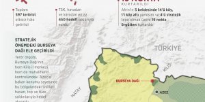 "Zeytin Dalı Harekatı'nda 10 gün"