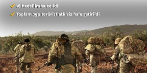 Zeytin Dalı Harekatı'nda etkisiz hale getirilen terörist sayısı 790