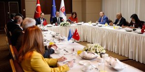 Bakan Çelik'ten vize serbestisi açıklaması