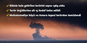 Muhammediye köyü ve Amara Tepesi terörden temizlendi