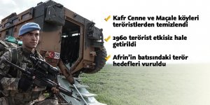 Zeytin Dalı Harekatı'nda 2960 terörist etkisiz hale getirildi