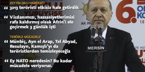 "Zeytin Dalı Harekatı'nda 3213 terörist etkisiz hale getirildi"