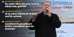 Zeytin Dalı Harekatı'nda 3603 terörist etkisiz hale getirildi