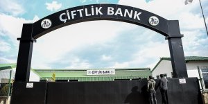 'Bedava peynir fare kapanında olur'