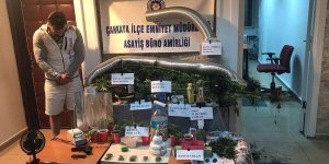 İç mimar evini uyuşturucu tarlasına çevirmiş!