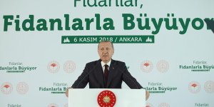 Erdoğan: Tabiata bakış açımızı düzeltmezsek dünya yaşanılır olmaz