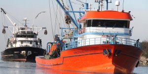 Limana yaklaşık 50 ton hamsiyle döndüler