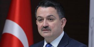 Pakdemirli: Nişasta Bazlı Şeker kotası düşürülecek!