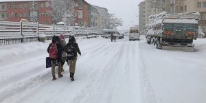 Bitlis ve Muş'ta eğitime kar tatili