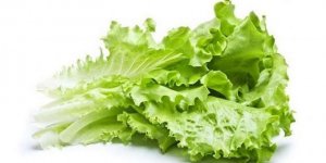 Şubatta en fazla kıvırcık salata fiyatı arttı!