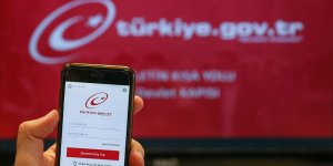 Risk Raporu e-Devlet'ten ücretsiz olarak alınabilecek