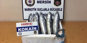 Balık karnında uyuşturucu sevkiyatı