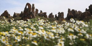 Kapadokya 'çiçek açtı'