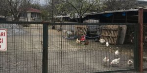 Keneden ölen kişinin annesi de hayatını kaybetti