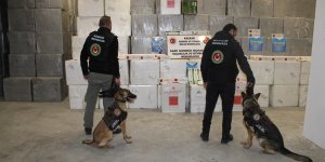 'Sarp Gümrüğü'nde Sigara Operasyonu'