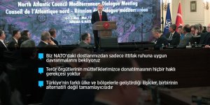 Erdoğan: DEAŞ terör örgütünü hezimete uğratan tek NATO ülkesi biz olduk