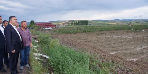 Başkentte yağan dolu ekili arazilere zarar verdi