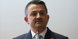 Tarım ve Orman Bakanı Pakdemirli: Kurbanlık hayvan varlığında sıkıntı yok