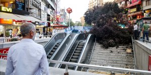 Başkentte ağaç devrildi: 3 yaralı