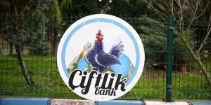 'Çiftlik Bank' davasında Mehmet Aydın'ın eşi ifade verdi