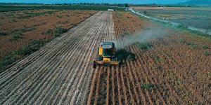 Çiftçiye 1,2 milyar liralık destek ödemesi
