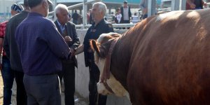 Kurban pazarlarında bayram öncesi yoğunluk