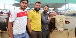 Kurbanlık satış merkezlerinde yoğunluk