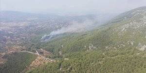 Muğla'da orman yangını