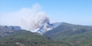 Muğla'da orman yangınları