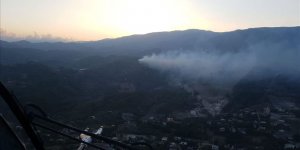 Hatay'da orman yangını