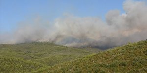 Muğla'daki orman yangınları kısmen kontrol altına alındı