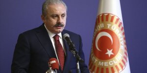 Şentop'tan 30 Ağustos Zafer Bayramı mesajı