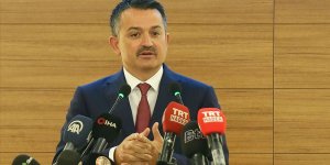 Pakdemirli: Yangınları üstlenen PKK'yı lanetlemelerini bekliyorduk ama olmadı