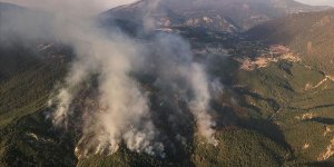 Kaş'taki orman yangınında hızlı müdahale yayılmayı önledi