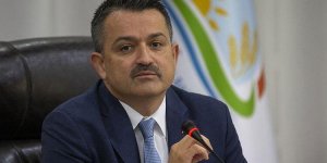 İyi Tarım ve Organik Tarım Destek Ödemeleri 20 Eylül'de başlayacak