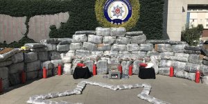 İstanbul'da 1 ton 800 kilogram skunk ele geçirildi!