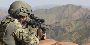 Kırmızı ve gri kategoride aranan 2 terörist etkisiz hale getirildi