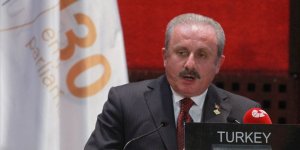 Şentop: Barış Pınarı Harekatı hedefine uygun şekilde devam ediyor