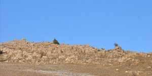Adıyaman'da 2 terörist etkisiz hale getirildi