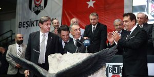 'Beşiktaş'ın 34. başkanı Ahmet Nur Çebi'