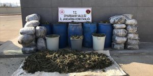Diyarbakır'da araziye saklanmış halde 702 kilogram esrar ele geçirildi