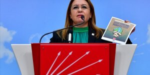 CHP'den 'Doğa Hakları Manifestosu'